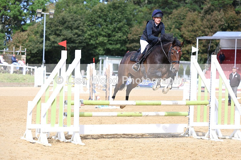 3E7A9154 - Class 9: Senior British Novice/90cm open