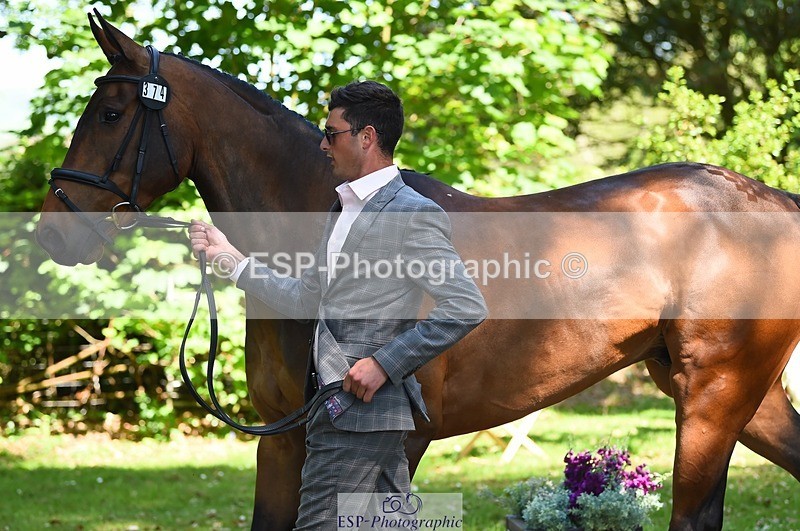 230524-154210-00444 - 374-ISLANDWOOD_THE_RISING-Sebastian_Roldan_Olivera-WEDTrotUp+DR