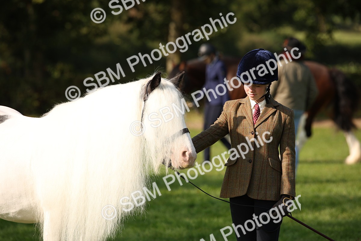 SBM_62235 - S55 - Traditional Cob In Hand