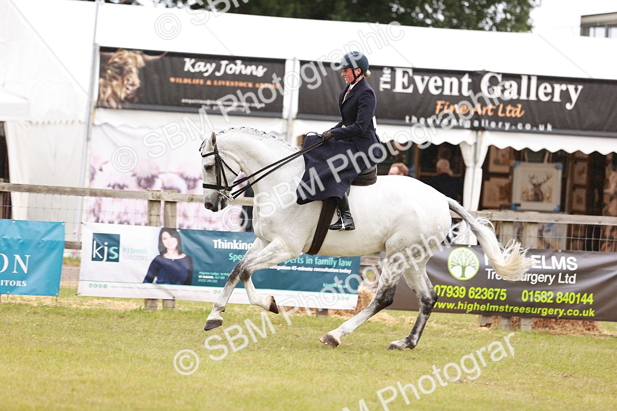 SBM_10988 - Class 81-84 - RIHS Ridden hunters Inc Ladies Hunter