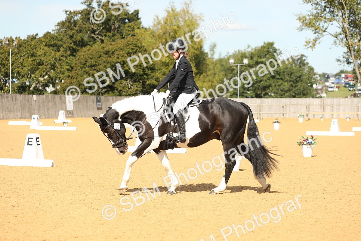 SBM_22184 - D17 - Grand Tour Championship - Novice 27