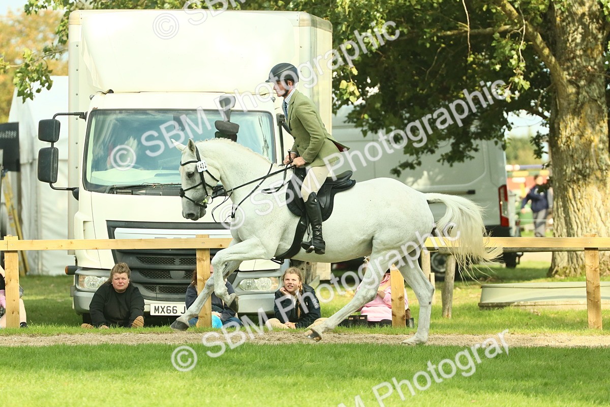 SBM_52140 - S33 - Working Hunter & Working Show Horse