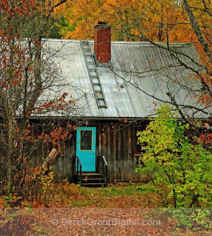 Palace in the Woods - Old Barns & Buildings
