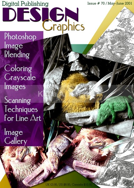 Magazine Cover - Graphic Design