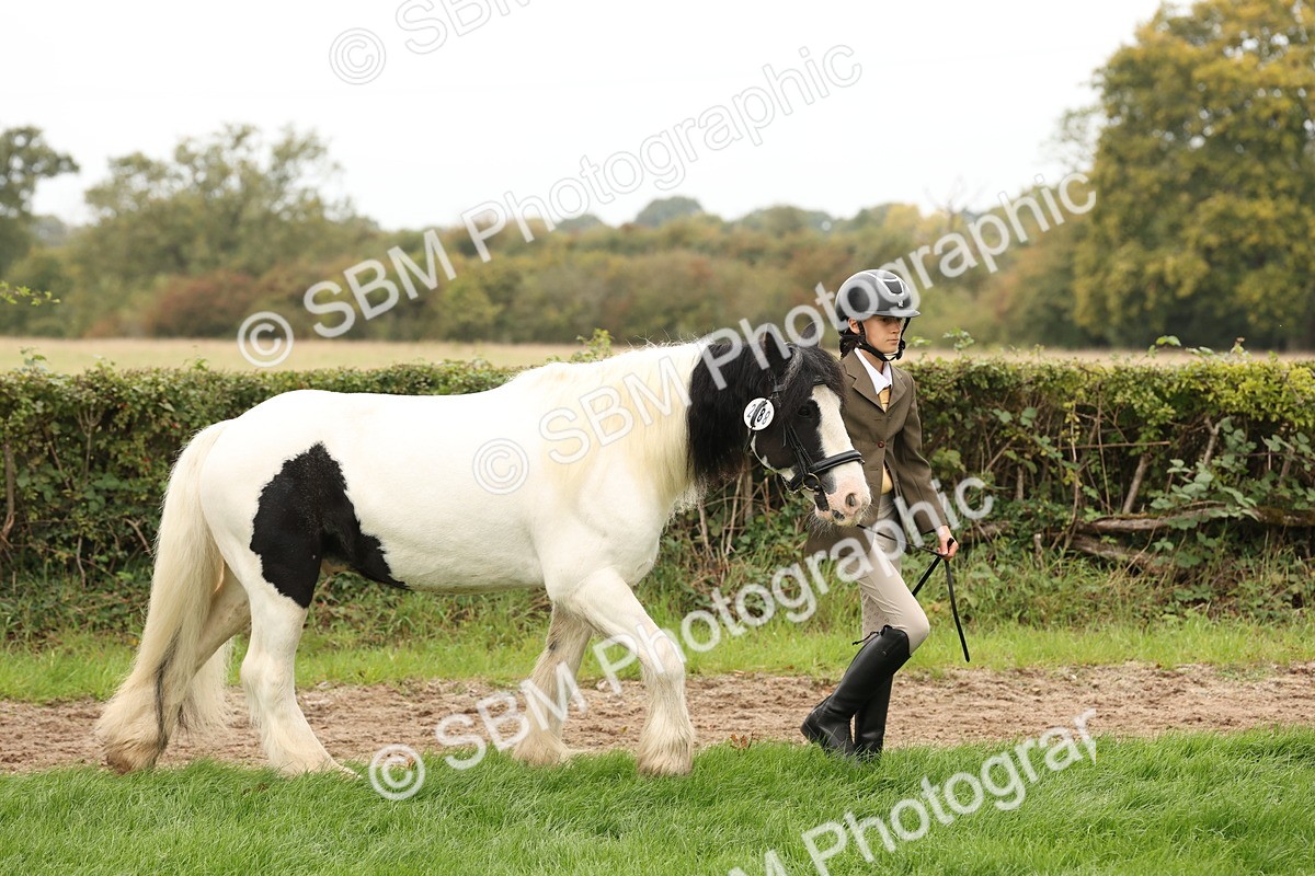 SBM_59220 - S57 - Traditional Cob In Hand