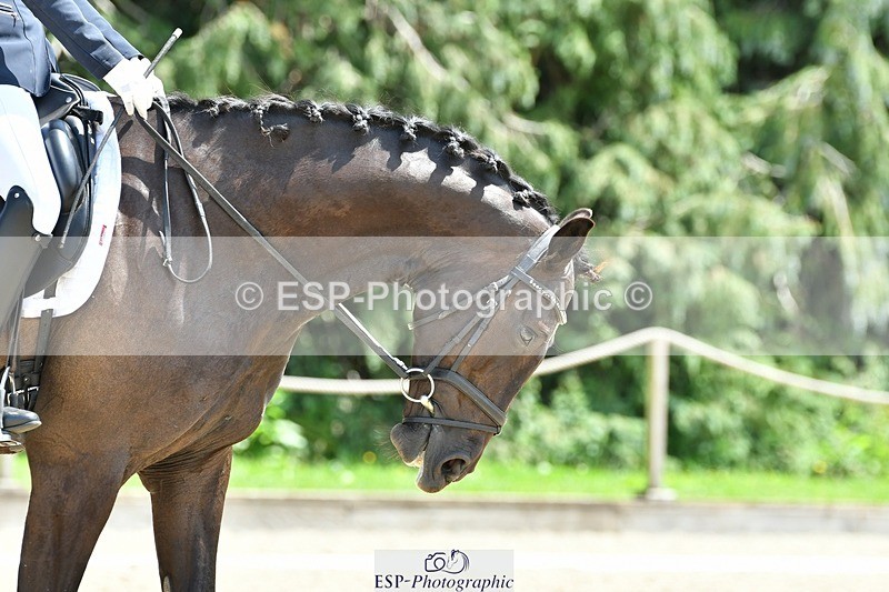 230623-134144-00823 - Cls 5 Elementary 43