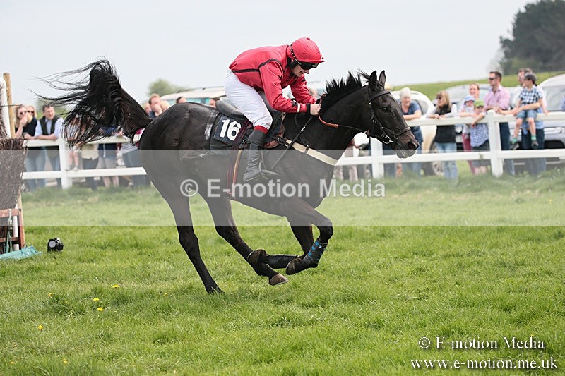 PtP 210418 222 - South & West Wilts Point-to-Point Larkhill 21/04/18