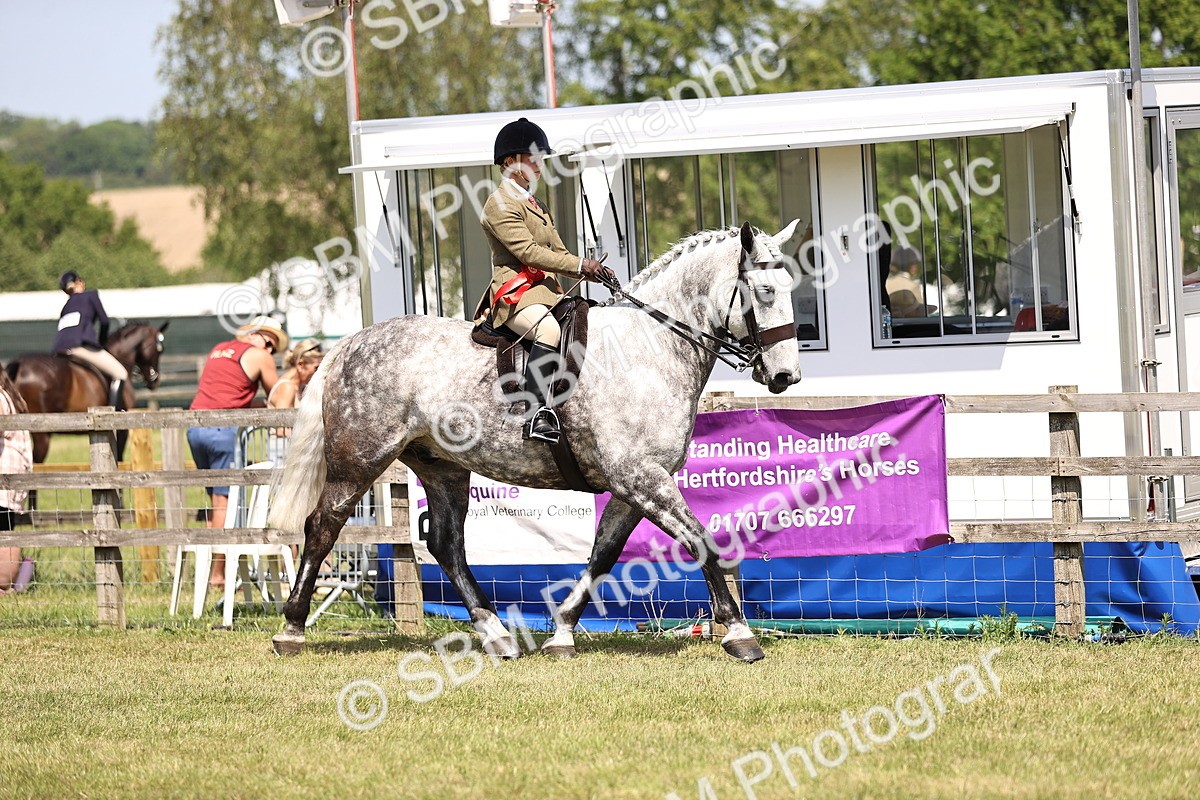 SBM_16203 - Class 79-80 - LIHS BSHA Rising Star Ridden Hunter