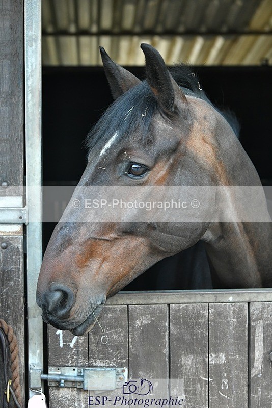 230817-083055-02408 - Stable Shots