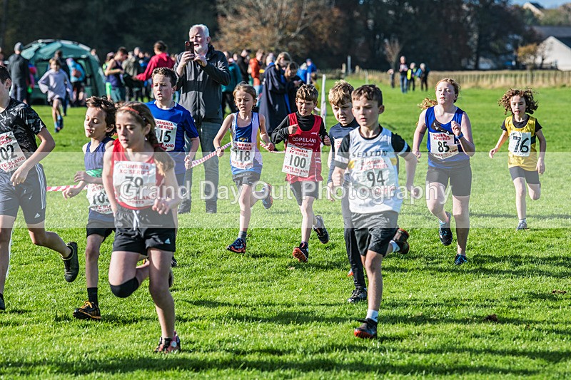 Cumbria XC-84 - Cumbria XC League Workington Saturday 26th October 2024