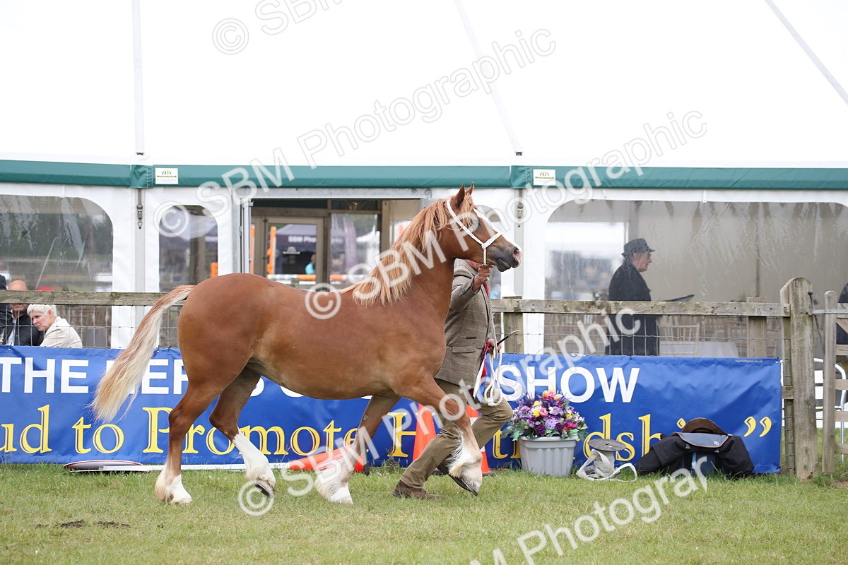 SBM_09750 - Ch 50 - Price Family Supreme In Hand