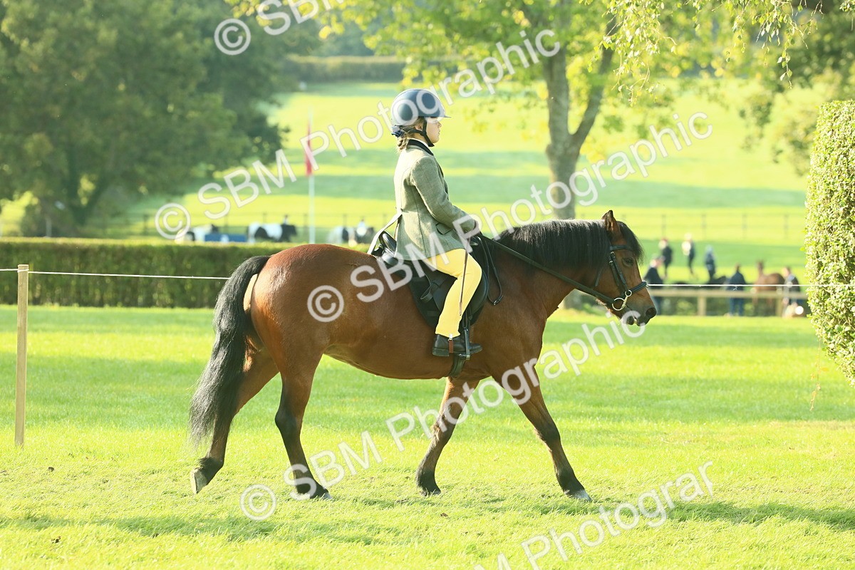 SBM_59125 - S38 - Starters Ridden Showing