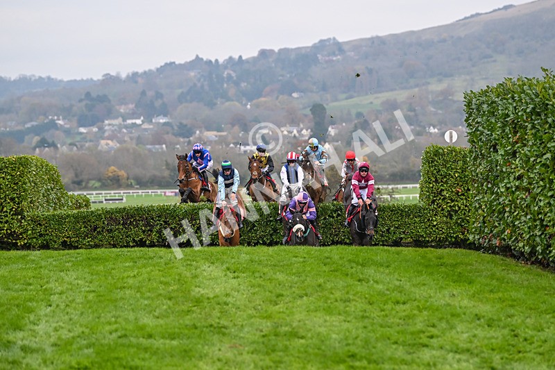 151124-Race 4-Tommie Beau-8119 - Race 4