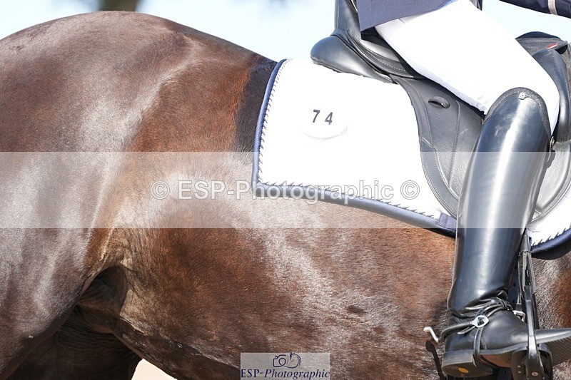 250817-161251-11873 - 074-Jessica.AllenHendrewen.Desert.Lady