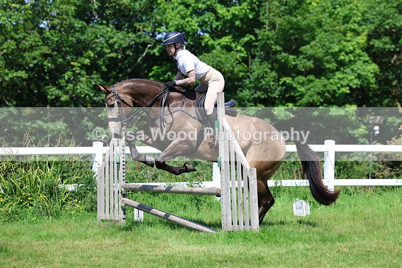 3E7A6922 - Class 30: Novice Working Hunter
