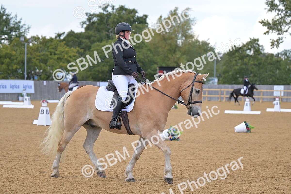 SBM_11147 - D3 - Small Tour Championship Intro 3