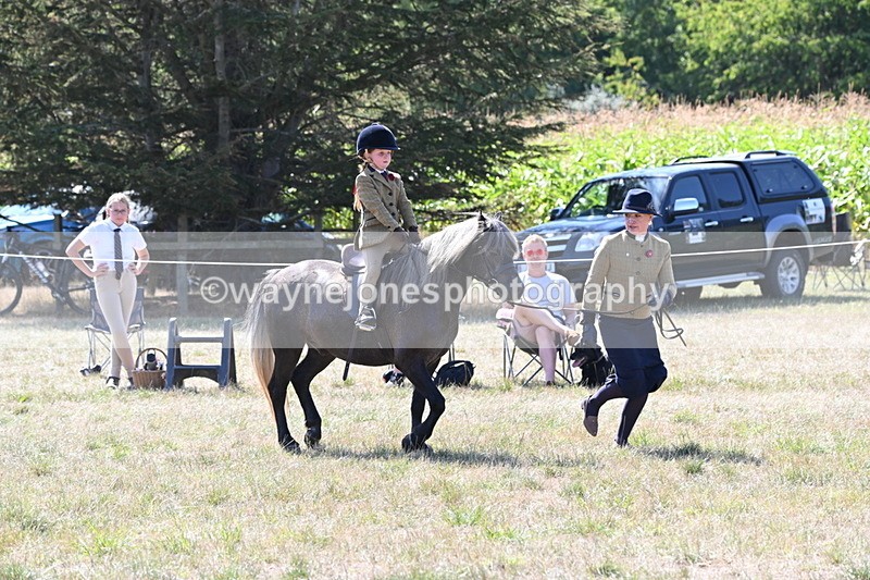 WJ6_7954 - Class 36 Lead Rein