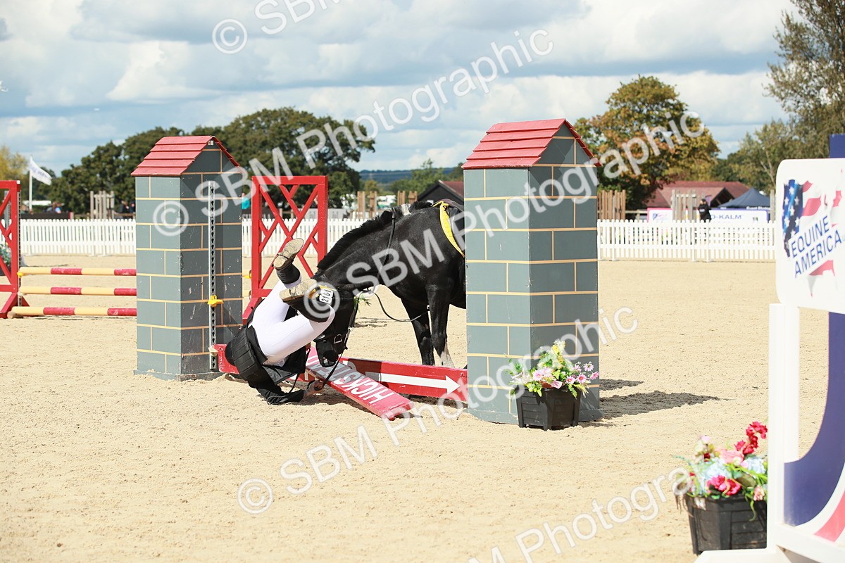 SBM_06224 - J29 Senior 65cm Championship