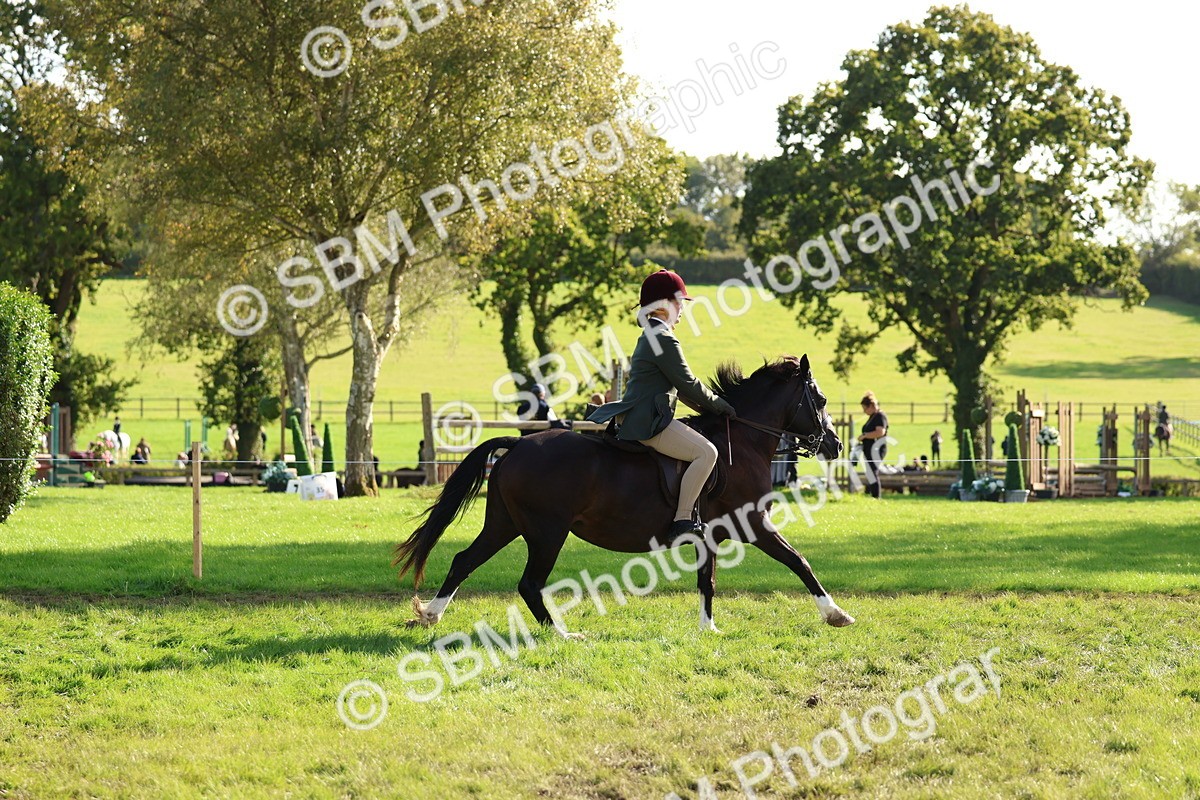 SBM_52399 - S13 - Pony Club Pony