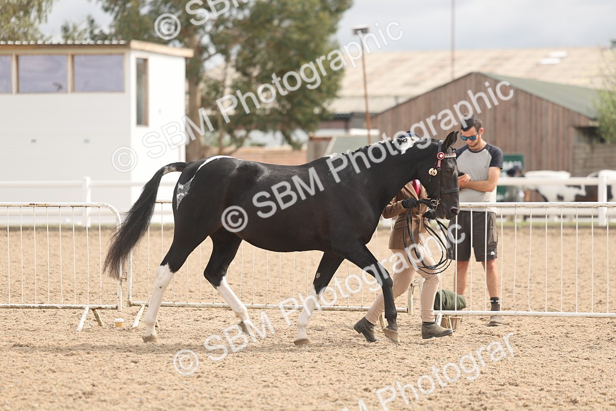 SBM_04941 - Class 20 - IH Veteran