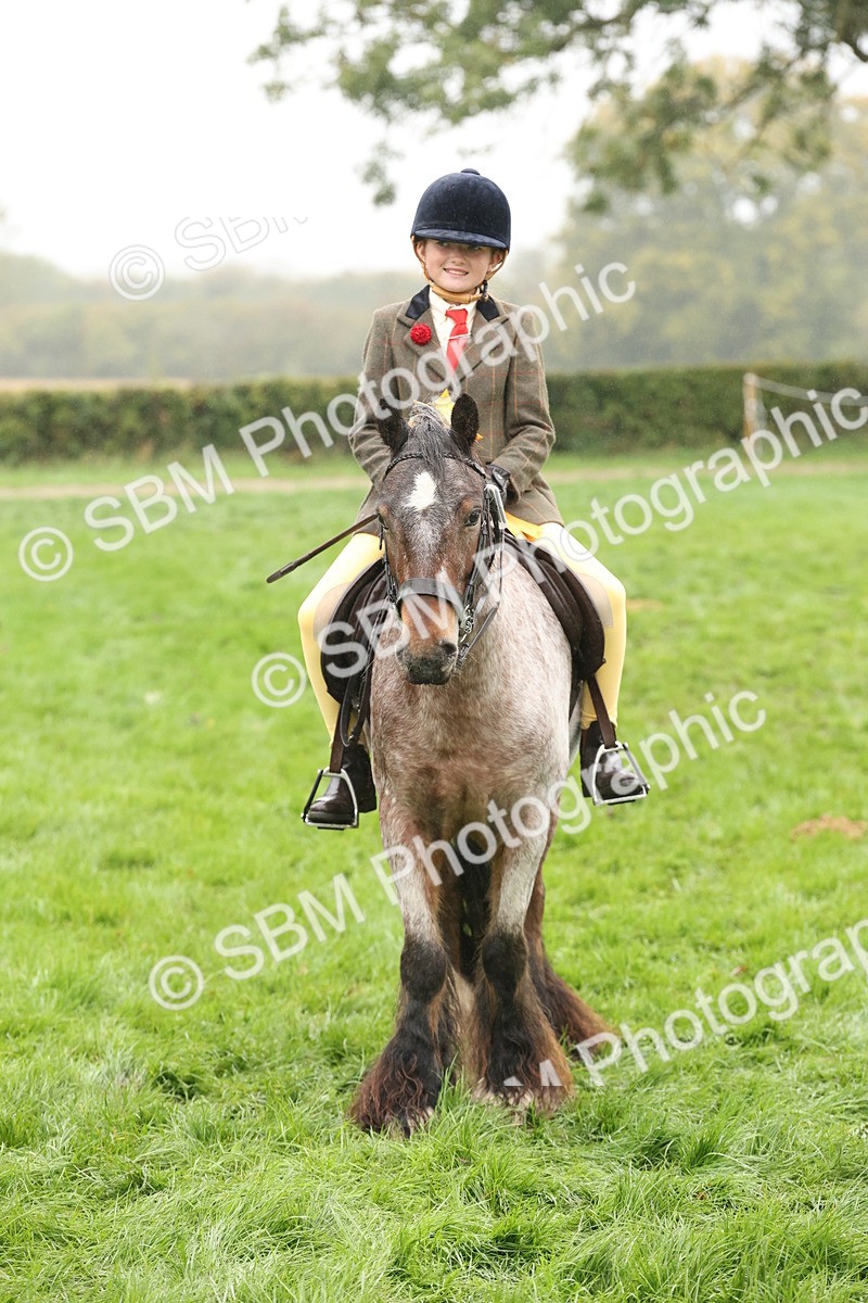 SBM_72871 - S70 - Traditional Cob Ridden