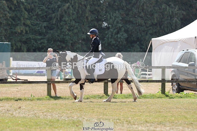 250823A-131459-31496 - Arena C