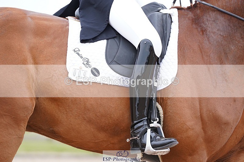 250403-155208-03191 - 009-Sarah.Stewart-Djoe.Dimaggio