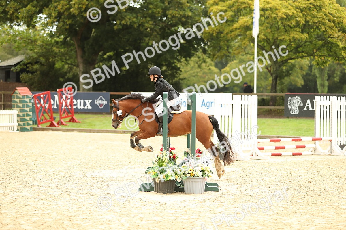 SBM_34261 - J60 Clear Round 50cm