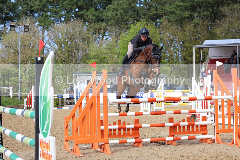3E7A2235 - Class 8: Senior Foxhunter/1.20 open