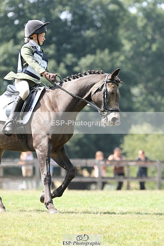 250823A-134932-31379 - Arena D