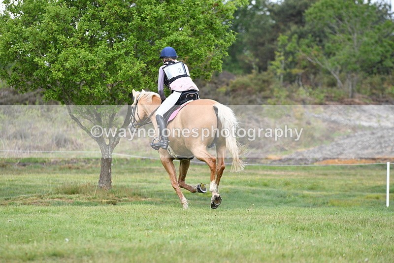 WJ5_4541 - Time 10:09 to 10:37