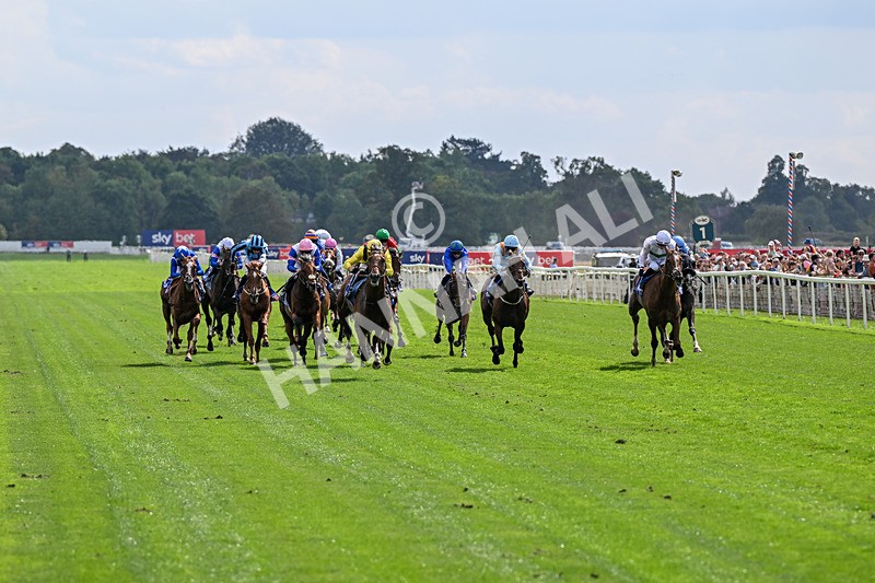 220826-Race 2-Infraad-9727 - Race 2 14.25pm Sky Bet Melrose Handicap