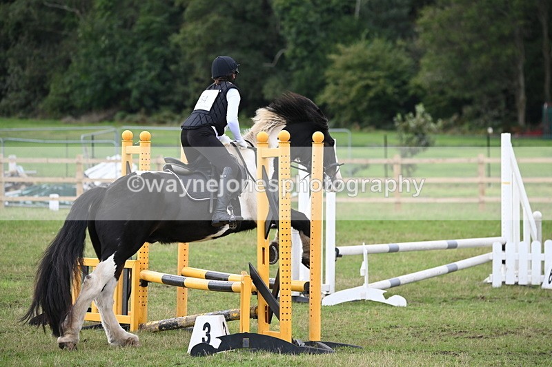 WJ6_1469 - 60cm Time 11:51 to 12:10