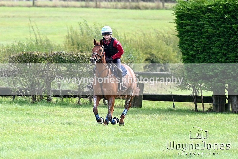 WJ6_9185 - Edited Examples