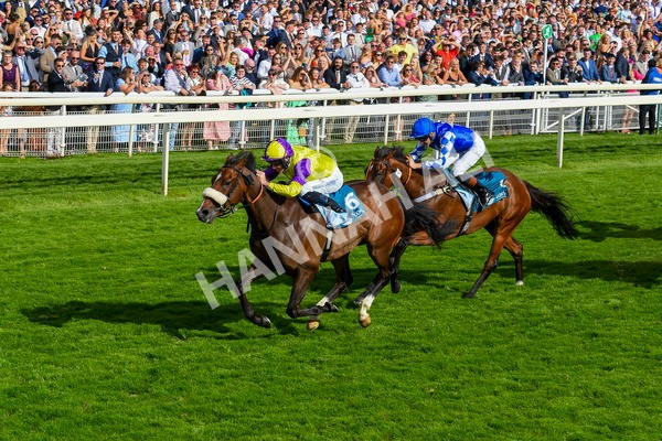 290723-Race 6-Dark Moon Rising-0953 - Race 6 5.10pm Betting Better With Sky Bet Handicap