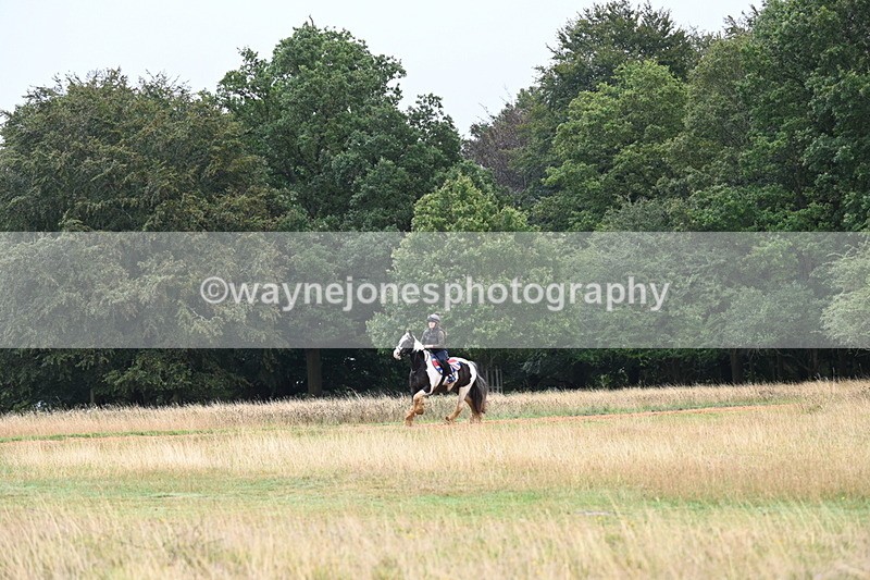 DSC_1909 - Time at Statue 12:13 to 12:32