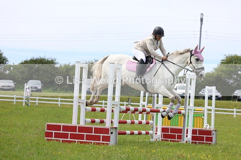 3E7A1656 - Class 13: Senior British Novice/90cm open