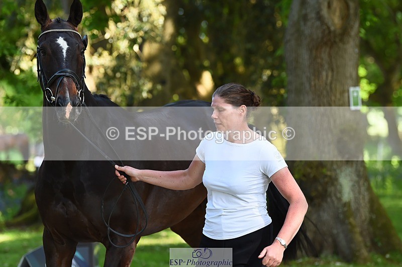 230524-164556-01077 - 114-DARK_SIDE_OF_THE_MOON_LS-Bundy_Philpott-WEDTrotUp+DR