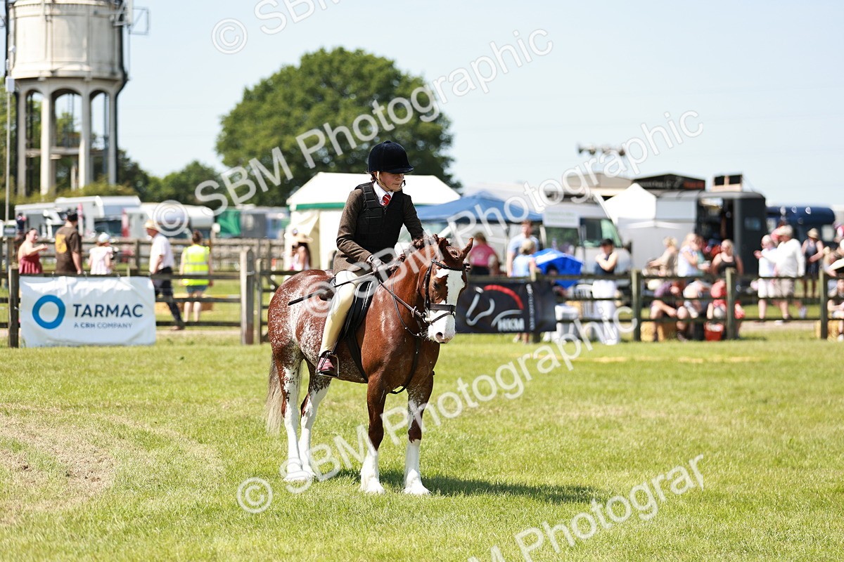 SBM_15535 - Class 108-109 - BSPS LIHS Open Gradle & Nursery Stakes