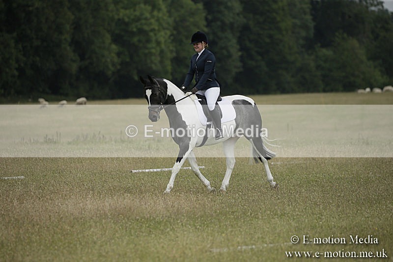 B230619-0369 - Bourne Valley Riding Club Summer Show 23/06/19