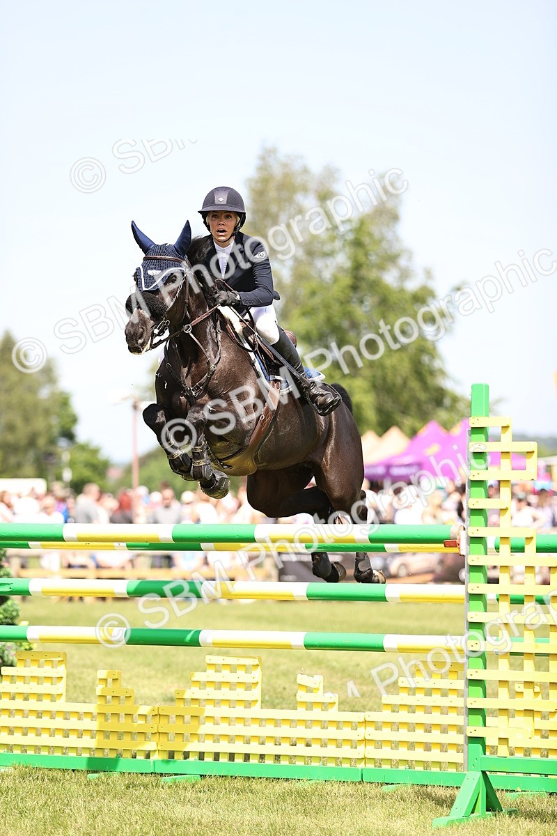 SBM_03966 - Class 201 - British Horse Feedds Speedi Beet HOYS Grade C