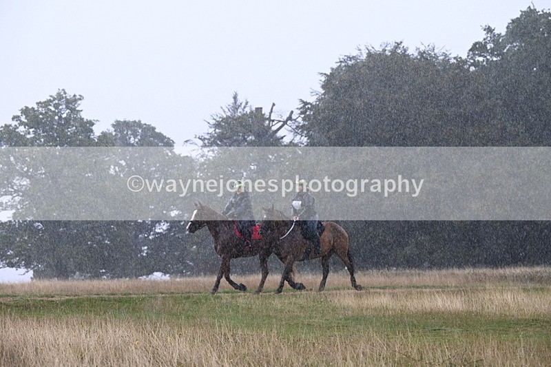DSC_3076 - Time at Statue 12:59 to 13:49