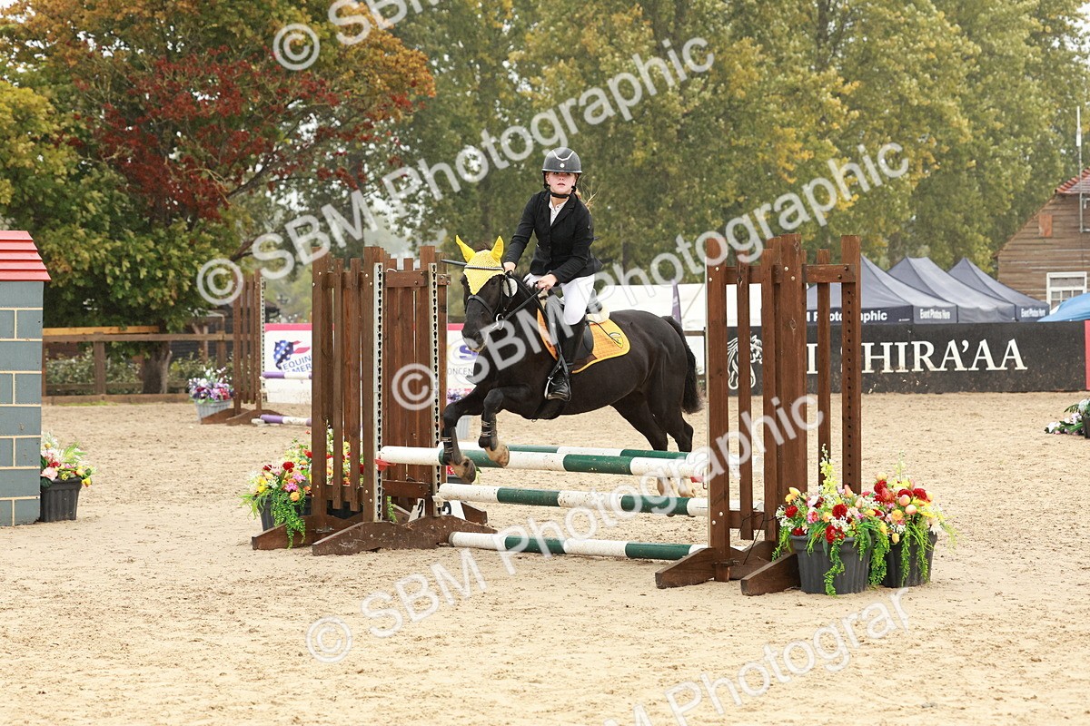 SBM_73317 - Supreme Championship Junior Pony 60cm & 65cm