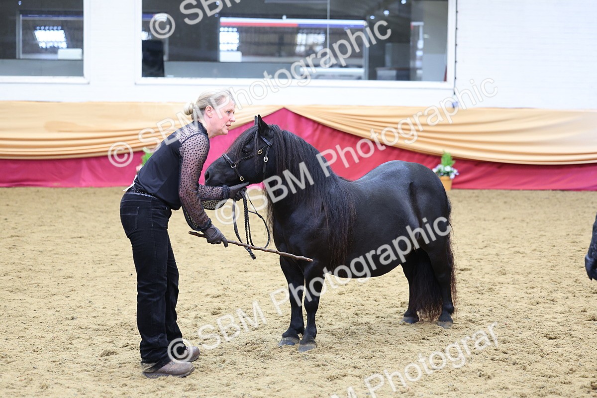 SBM_22863 - Class 903 - Supreme Final - IH Pre Vet