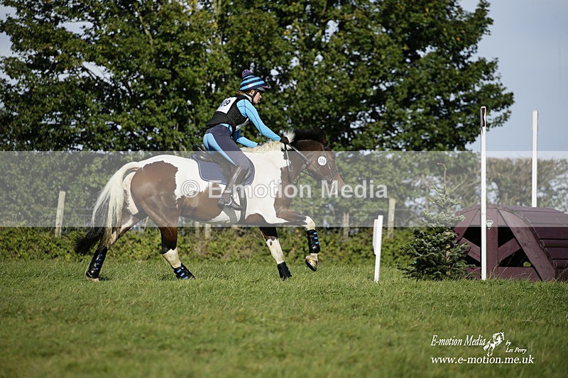  WWHT 031021 481 - WWEC Novice Restricted (0.80m) 18/10/20