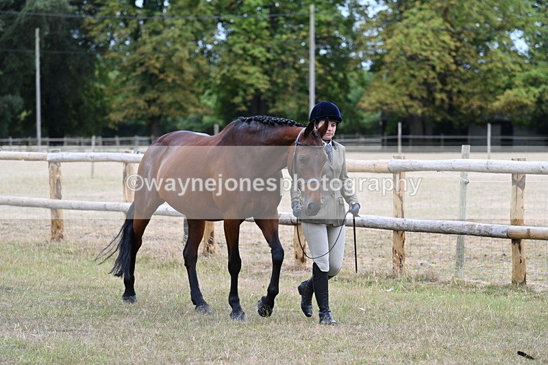 WJ7_8959 - Class 4a Prettiest Mare 14.2hh and over