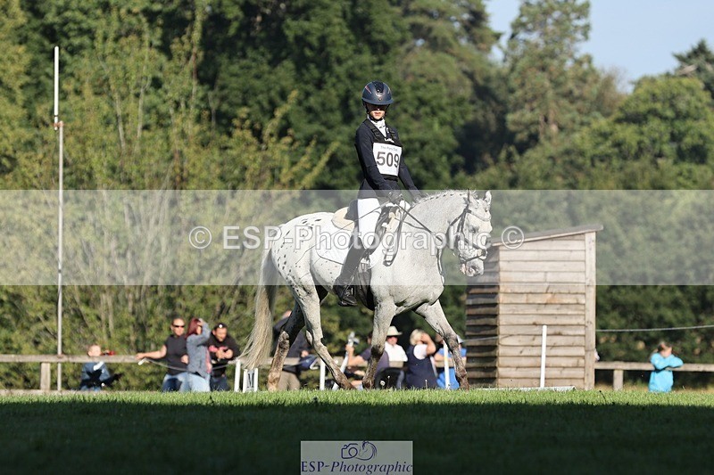 250823A-090618-25853 - Arena D