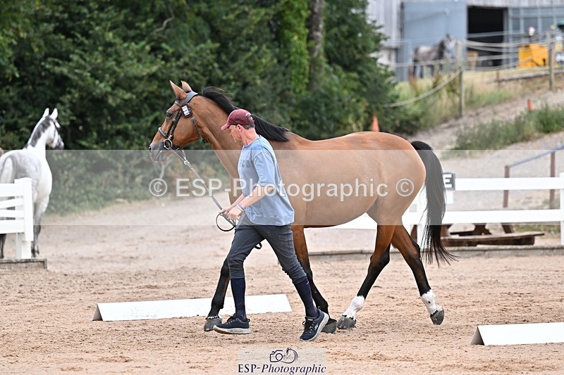 250716-133941-00614 - Trot Up 1.30 to 2.30