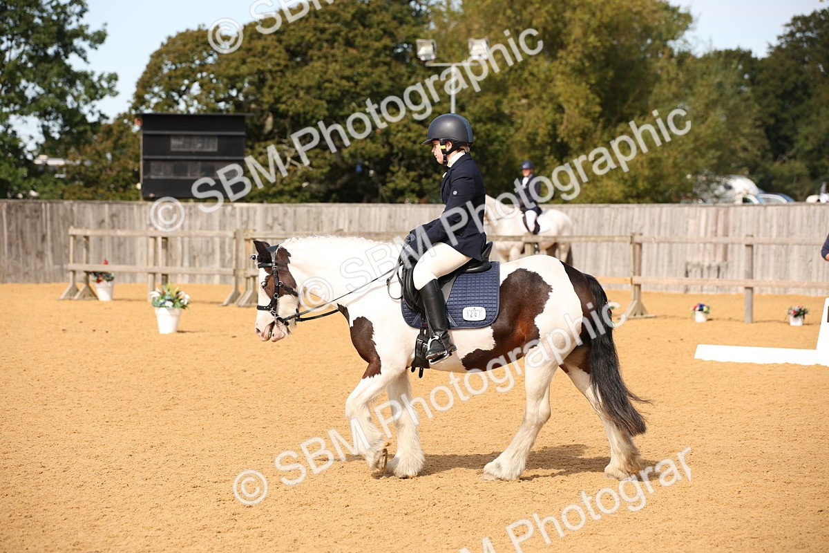 SBM_21788 - D5 - Small Tour Championship - Intro C