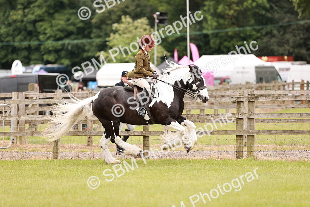 SBM_06214 - Class 39-41 TGCA In Hand and Ridden